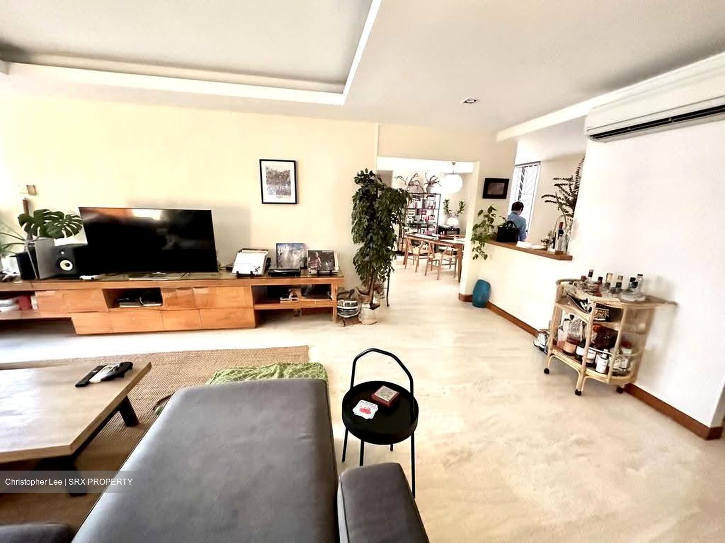 Botanic Gardens View (D10), Apartment #611203291
